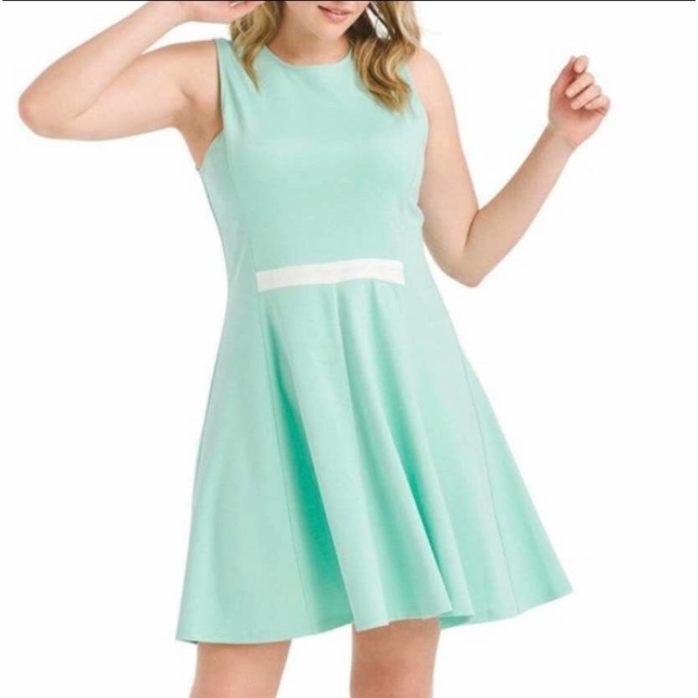 Hutch Design Mint Green Ponte Fit & Flare Dress - Picture 4 of 6